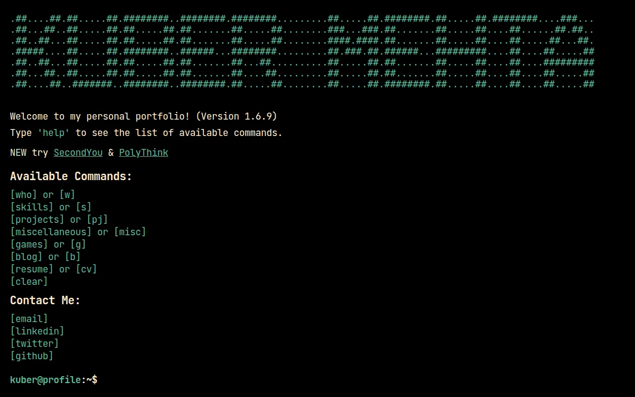 Terminal-Style Portfolio on the Internet