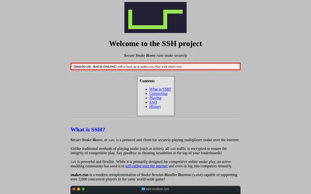 MMO snake over ssh – ssh snakes.run