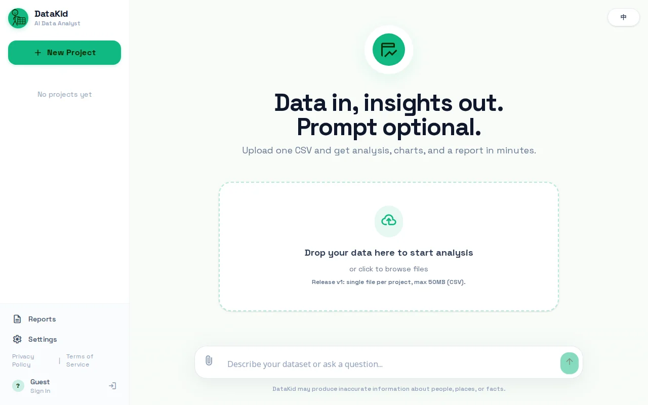 I made an AI Agent to dig everything out of your CSV