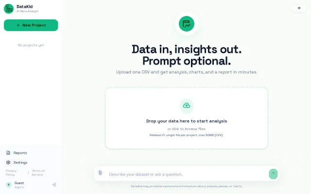 I made an AI Agent to dig everything out of your CSV