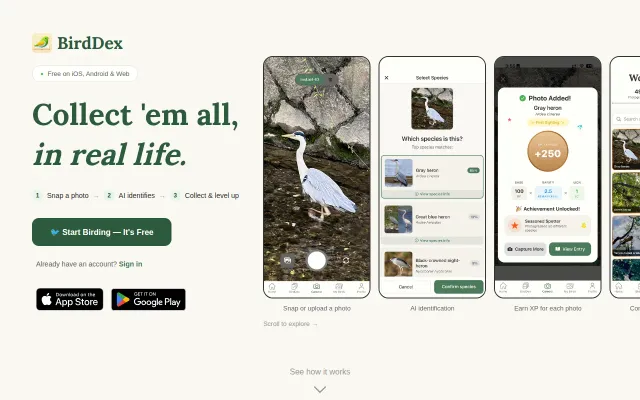 BirdDex – Pokémon Go, but with real life birds