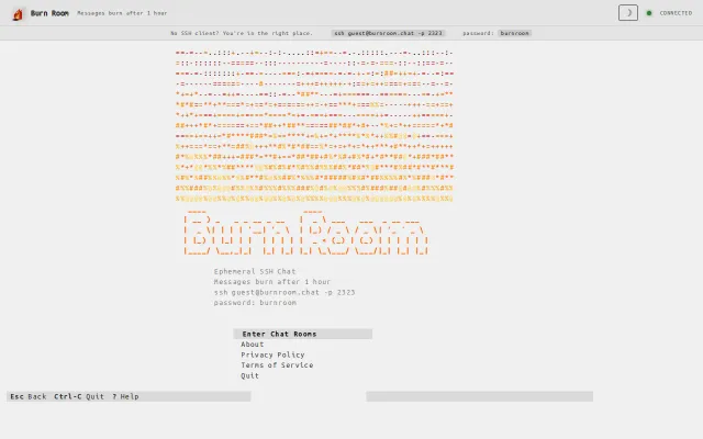 Burn Room – End-to-End Encrypted Ephemeral SSH Chat