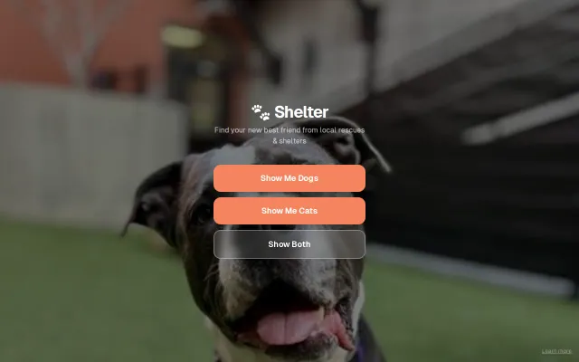 My 'pet' project, a Tinder-esque experience for rescuing dogs and cats