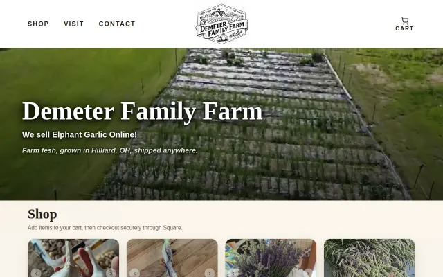 I quit my job to sell garlic online