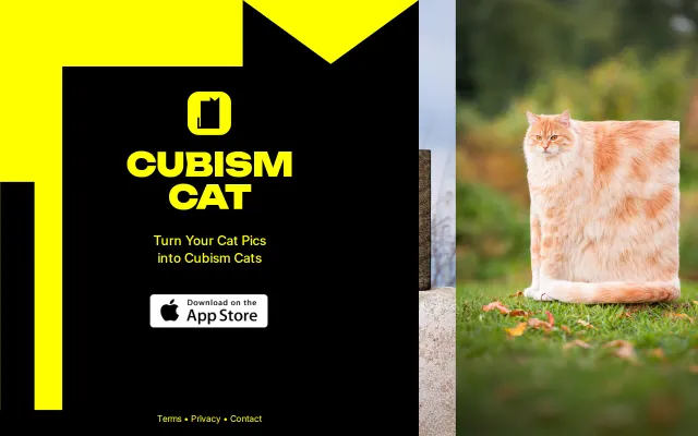 Turn your cat into a Cubism Cat via an app