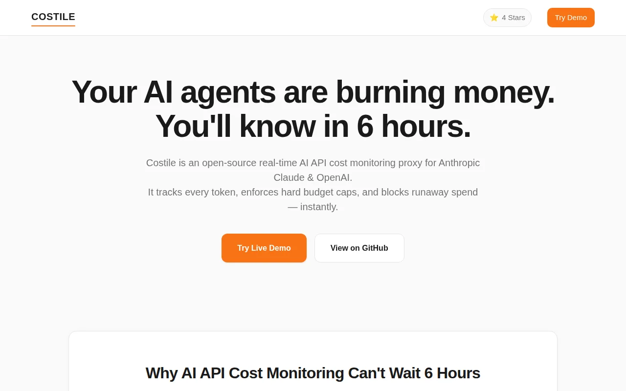 Costile – open-source proxy, blocks AI API requests when budget is hit