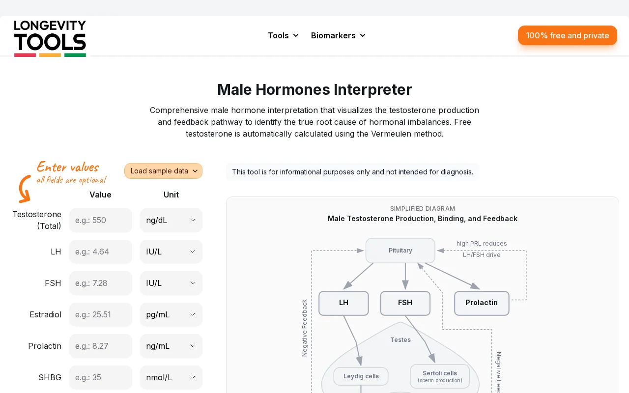 I built Male Hormone Lab Interpreter that does what LLMs can't