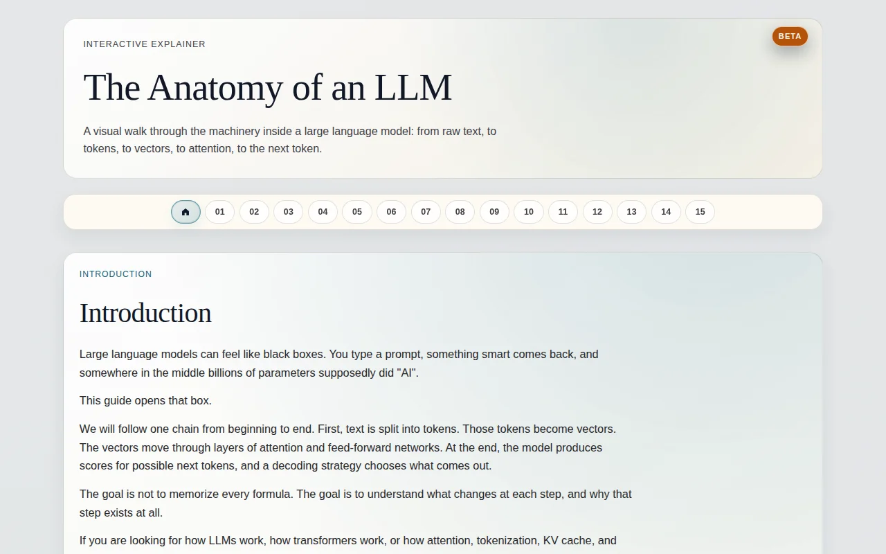 The Anatomy of an LLM