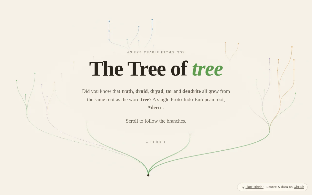 Tree, truth, druid and tar share one Proto-Indo-European root