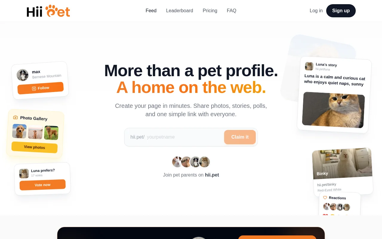 Give your pet its own corner of the internet