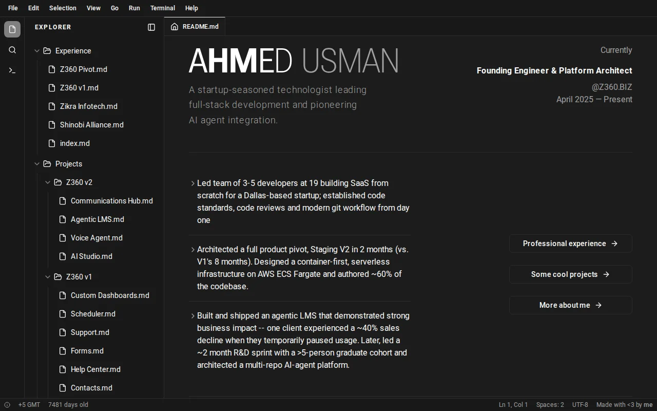 A cool portfolio I made