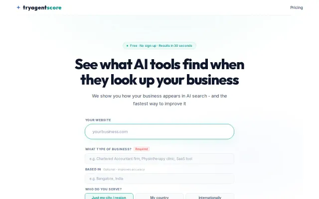 A tool that checks how your business appears in AI search