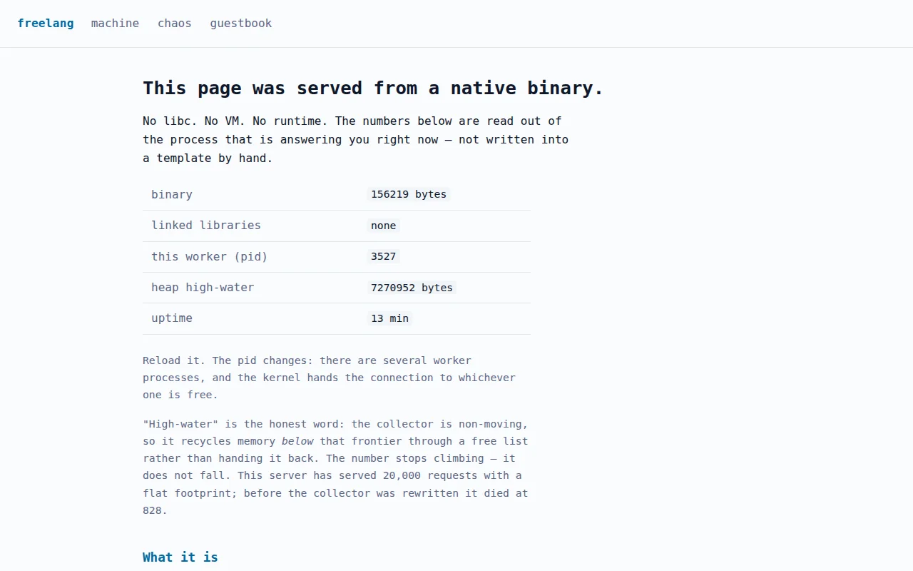 Website is served from a 200KB binary