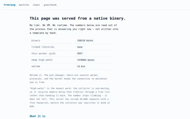 Website is served from a 200KB binary