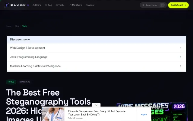 A 100% client-side steganography tool to hide messages in images