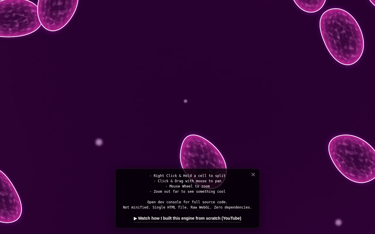 Organic cell simulation with infinite zoom (100k cells, raw WebGL)