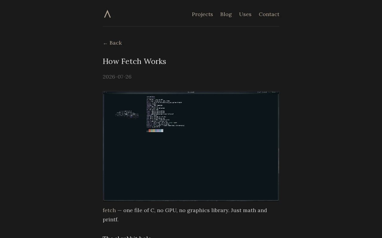 What If Donut.c but With Any ASCII Art